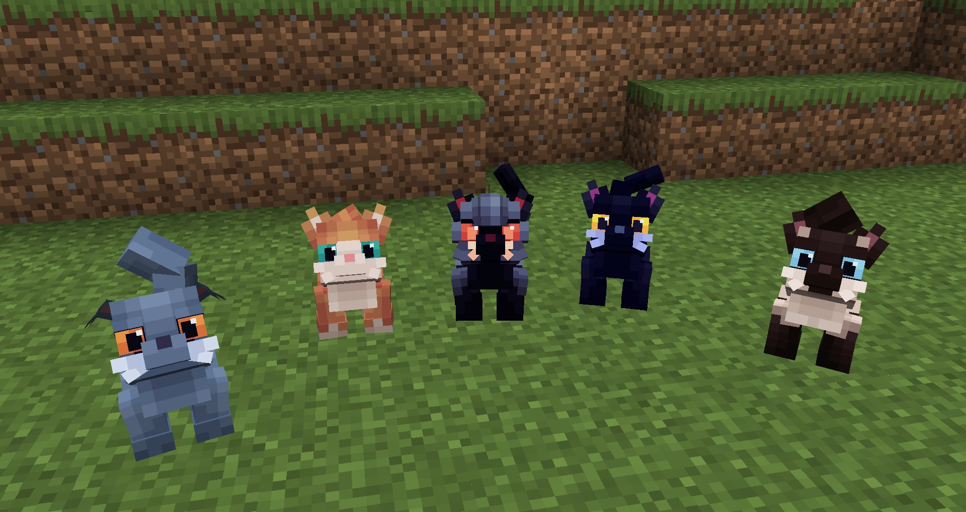 Image #1 icon for the Cats pet